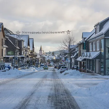 Welcome In - 4-3 Met Terras, Aan De Skipiste En Bikepark * Winterberg