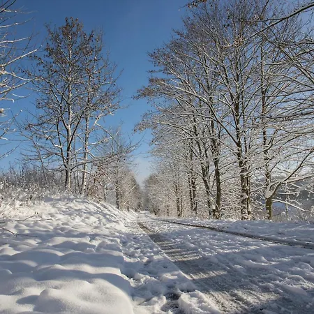 Welcome In - 4-3 Mit Terrasse, Direkt An Der Skipiste Und Am Bikepark Winterberg