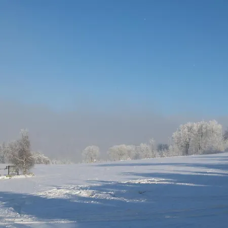Welcome In - 4-3 Mit Terrasse, Direkt An Der Skipiste Und Am Bikepark Apartment *